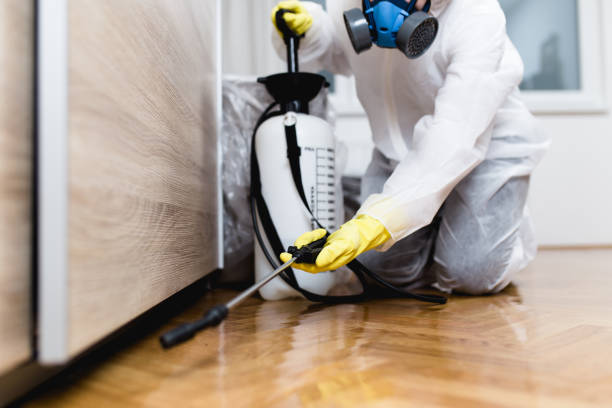 Best Emergency Pest Control  in Deshler, OH
