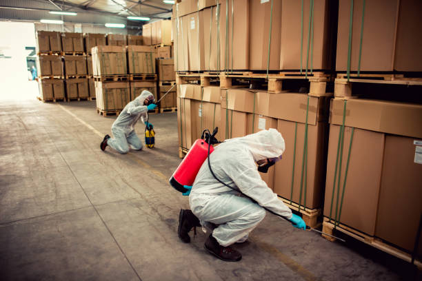 Best Termite Control Services  in Deshler, OH