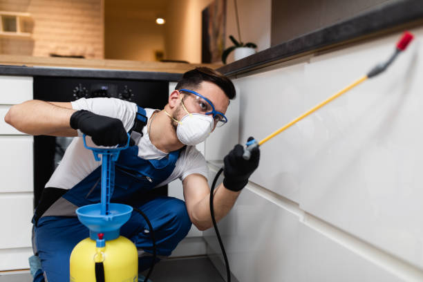 Best Wasp Removal Services  in Deshler, OH