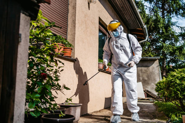 Best Pest Inspection Near Me  in Deshler, OH
