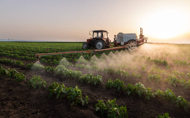 Best Pest Prevention Services  in Deshler, OH