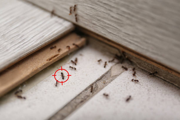 Best Wildlife Control Services  in Deshler, OH