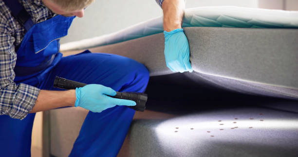 Best Best Pest Control Companies  in Deshler, OH