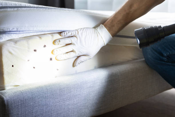 Best Affordable Pest Control Services  in Deshler, OH
