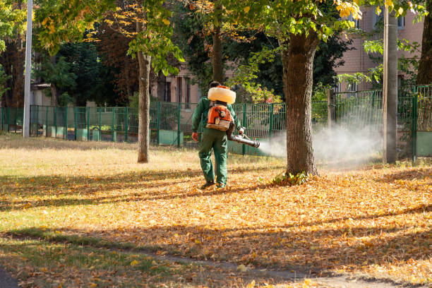 Best Affordable Pest Control Services  in Deshler, OH