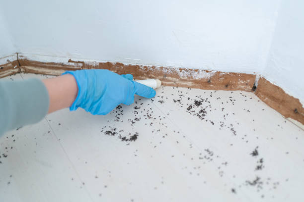 Best Residential Pest Control  in Deshler, OH